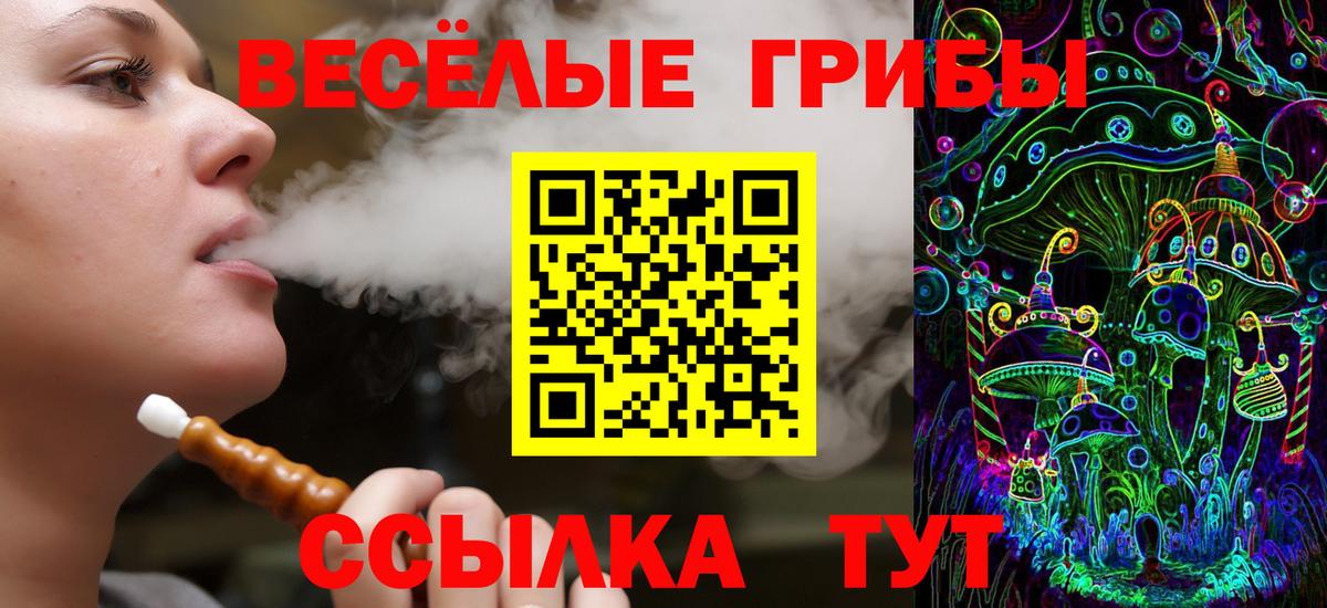 Псков  Галлюциногенные грибы Cubensis  Вход с VPN 
