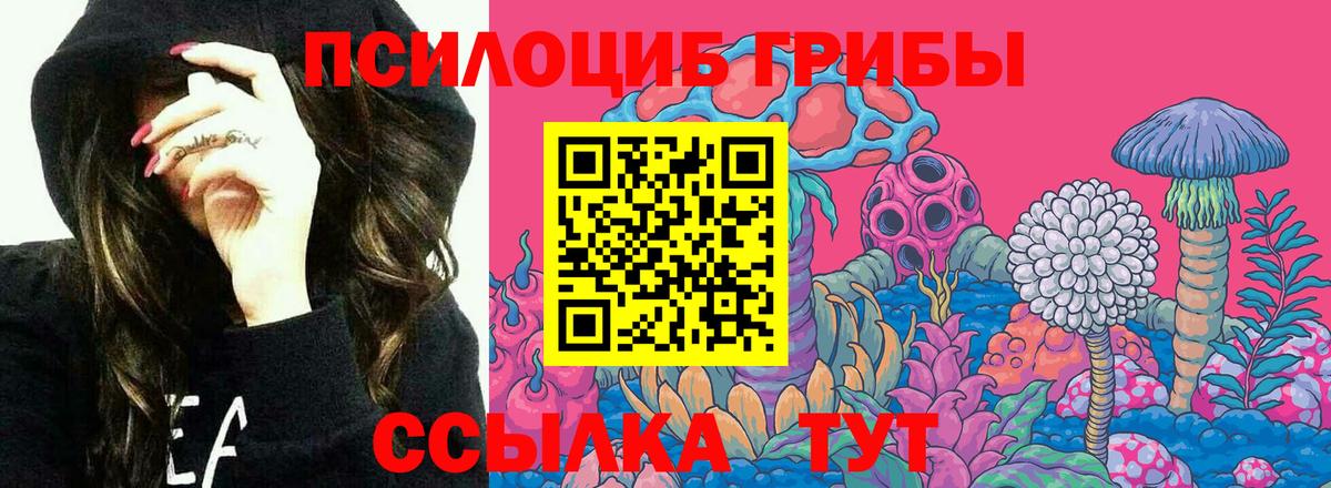 Галлюциногенные грибы Cubensis Псков
